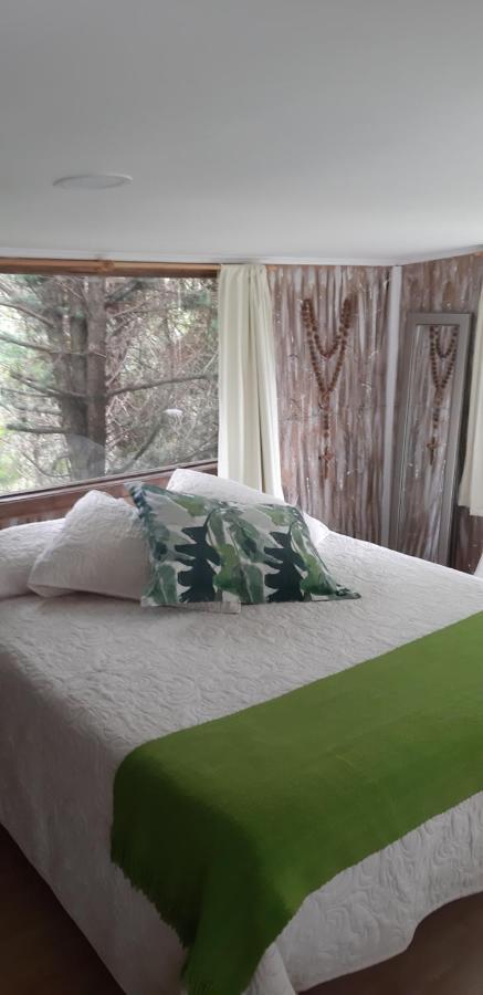 Eco Cabana Puerto Varas Buitenkant foto