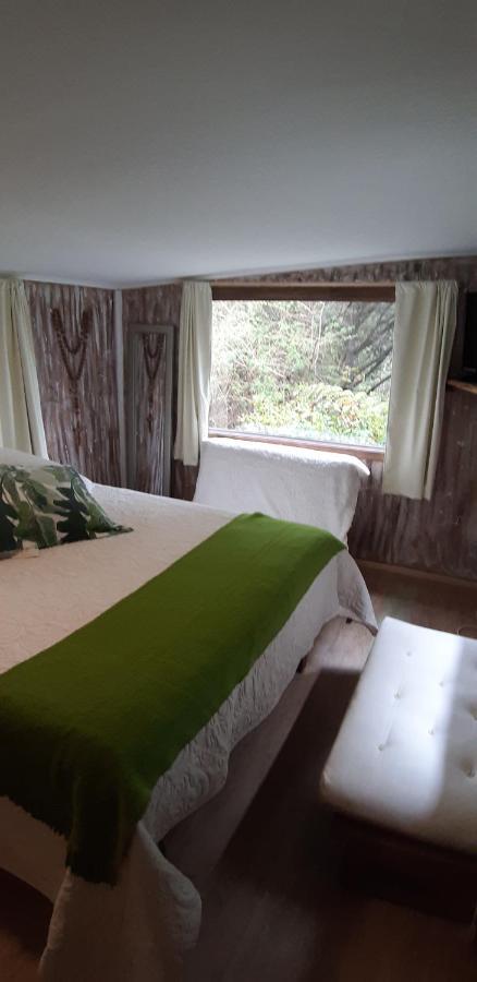 Eco Cabana Puerto Varas Buitenkant foto