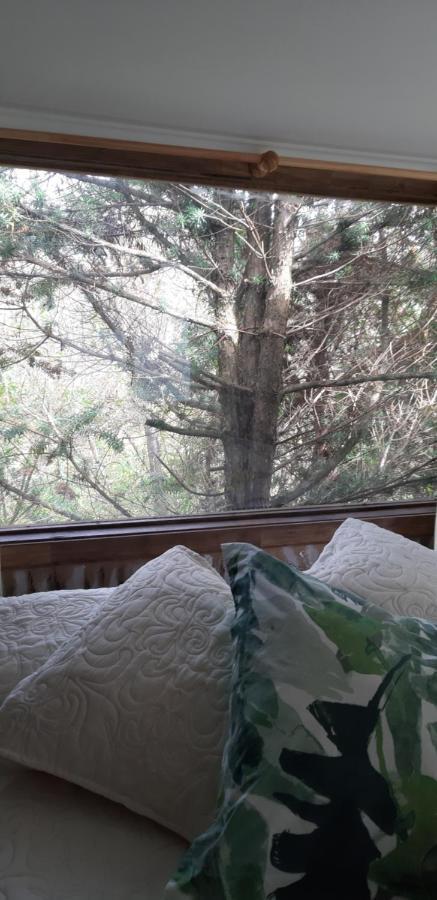 Eco Cabana Puerto Varas Buitenkant foto