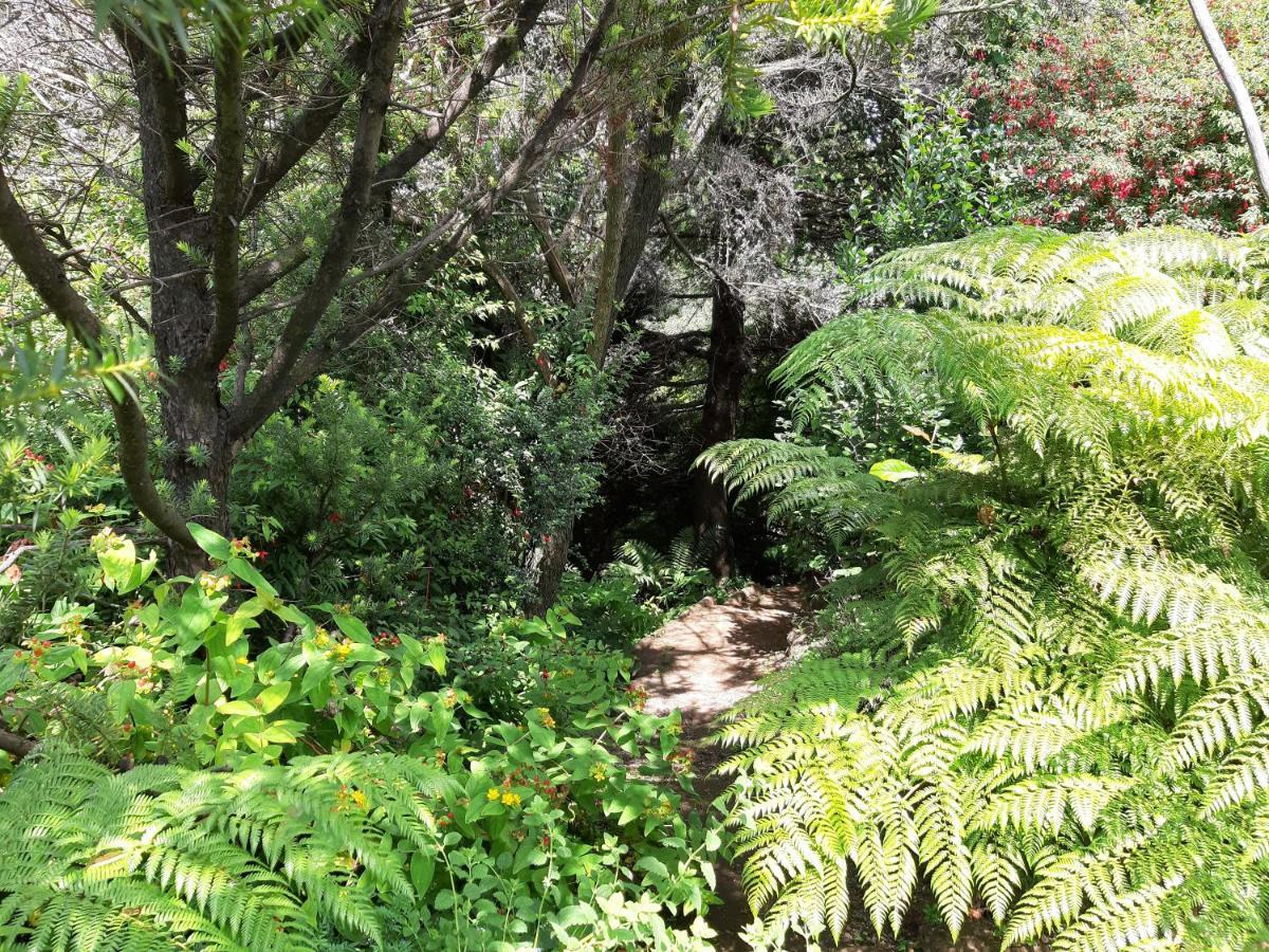 Eco Cabana Puerto Varas Buitenkant foto
